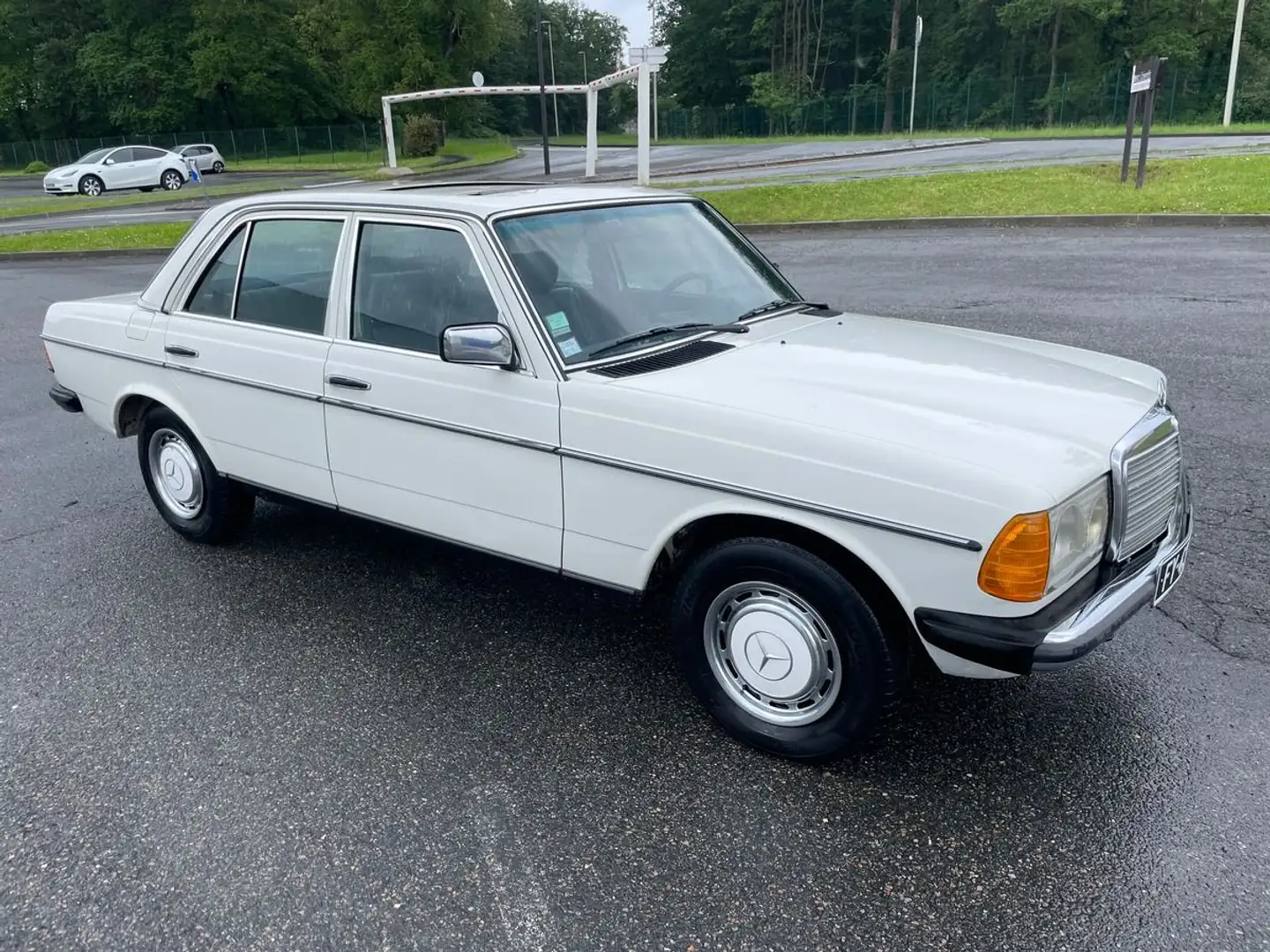 Mercedes-Benz 220 diesel ct ok bv4 6000 ferme Blanc - 2