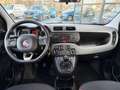 Fiat Panda 1.2 Popstar AIRCO HOGE INSTAP Blanc - thumbnail 13