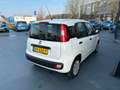 Fiat Panda 1.2 Popstar AIRCO HOGE INSTAP Blanc - thumbnail 5