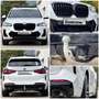 BMW X3 xDrive20i M Sport Park/Drive-Assist. Panorama 360° Bianco - thumbnail 15
