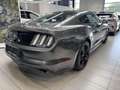 Ford Mustang 2.3 EcoBoost 317PK M6 - thumbnail 4