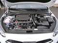 Kia Ceed SW / cee'd SW Ceed SW 1.5T DCT Ultimate Edition Navi Kamera Weiß - thumbnail 20