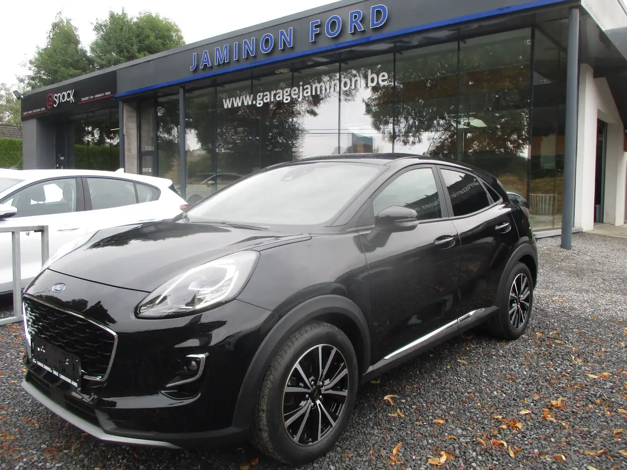 Ford Puma 1.0 EcoBoost mHEV Titanium (EU6d)
