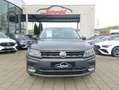 Volkswagen Tiguan 2.0 TDI, Highline, Kamera, Navi, ACC, Klima, AH... Grau - thumbnail 2
