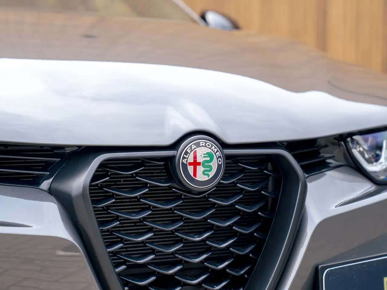 Alfa Romeo Tonale 2024 — фото 22