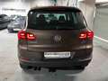 Volkswagen Tiguan Bi-Xenon LED PDC Panoramadach Marrón - thumbnail 5