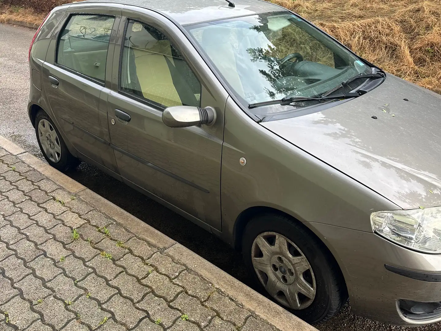 Fiat Punto Punto 5p 1.3 mjt 16v Cult Grigio - 2