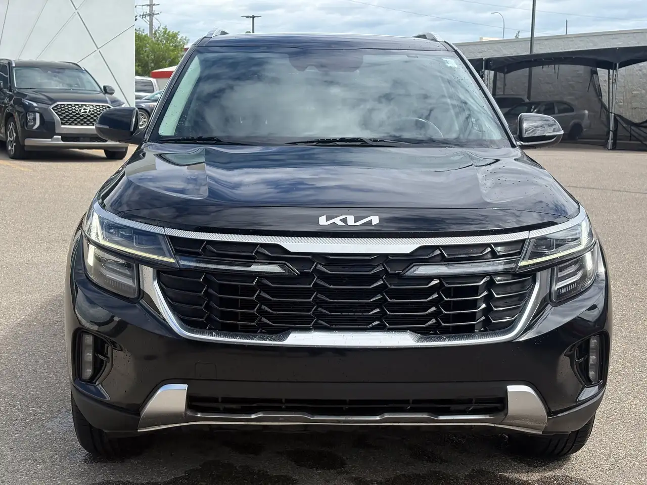 Kia Seltos снимка Kia Seltos