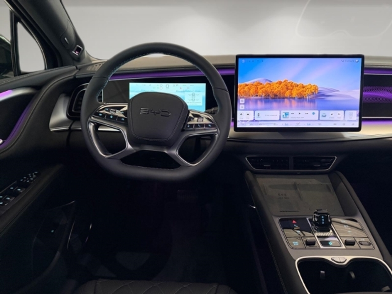 BYD Sealion 7 Design/Allrad/Navi/360 Kamera/Sitzheizung/Leder/Kl — photo 10