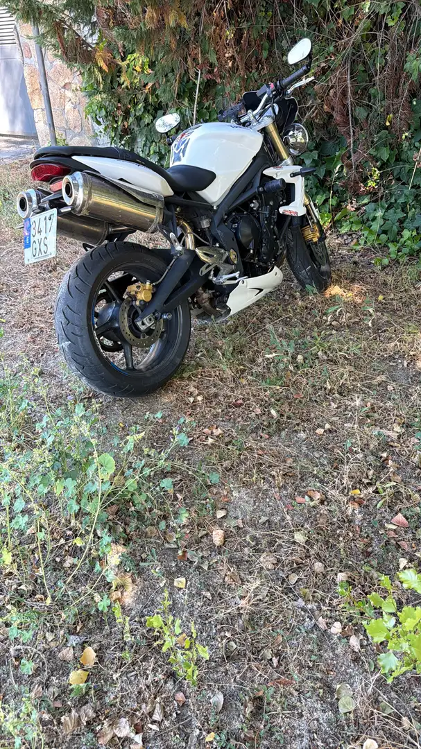 Triumph Street Triple 675 - 2