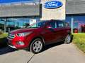 Ford Kuga Business Class 1.5i EcoBoost met 150 PK! Rouge - thumbnail 1