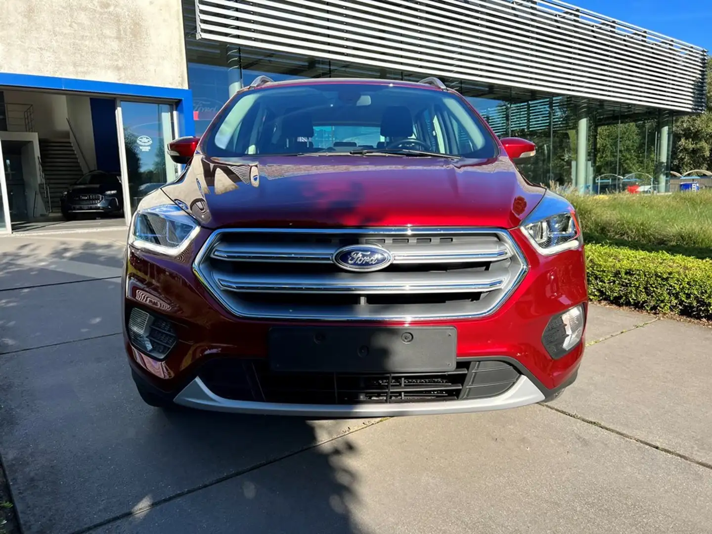Ford Kuga Business Class 1.5i EcoBoost met 150 PK! Rouge - 2