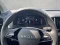 Skoda Karoq Drive 2,0 TDI 110 kW 7-Gang-DSG Grau - thumbnail 12