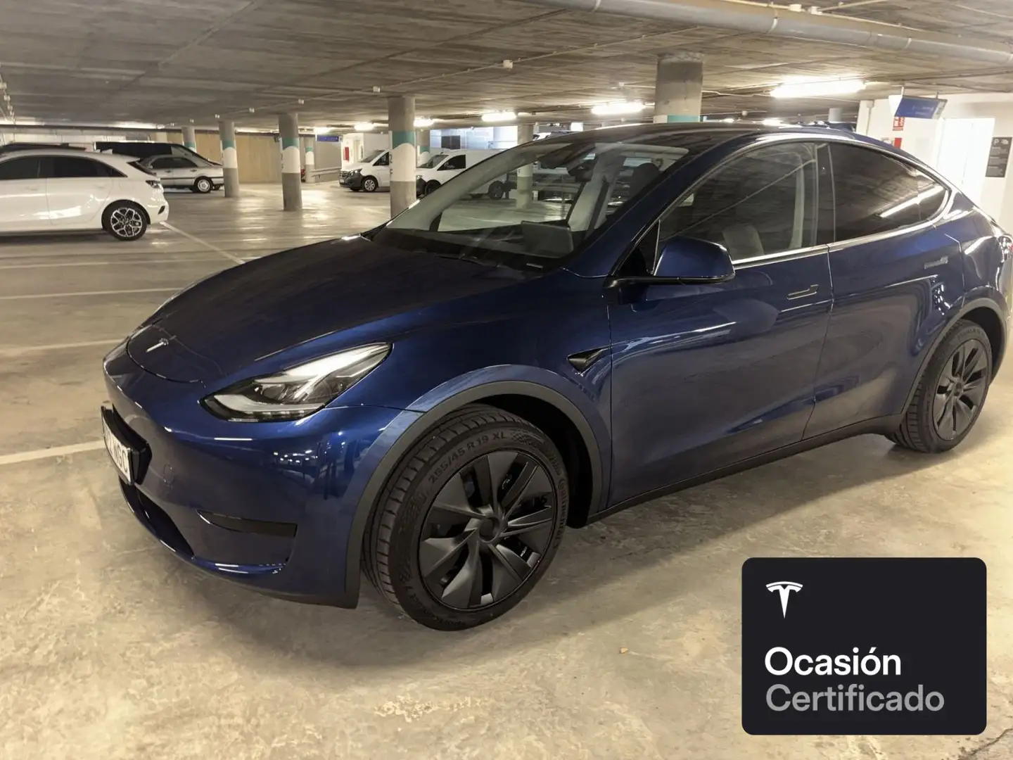 Tesla Model Y Long Range RWD Blau - 1