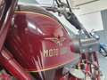 Moto Guzzi Sport 15 Restaurata / Scambio Rosso - thumbnail 5