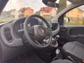 Fiat Panda 1.0 Hybrid PDC KLIMA SPURHALTEASS. Blauw - thumbnail 16
