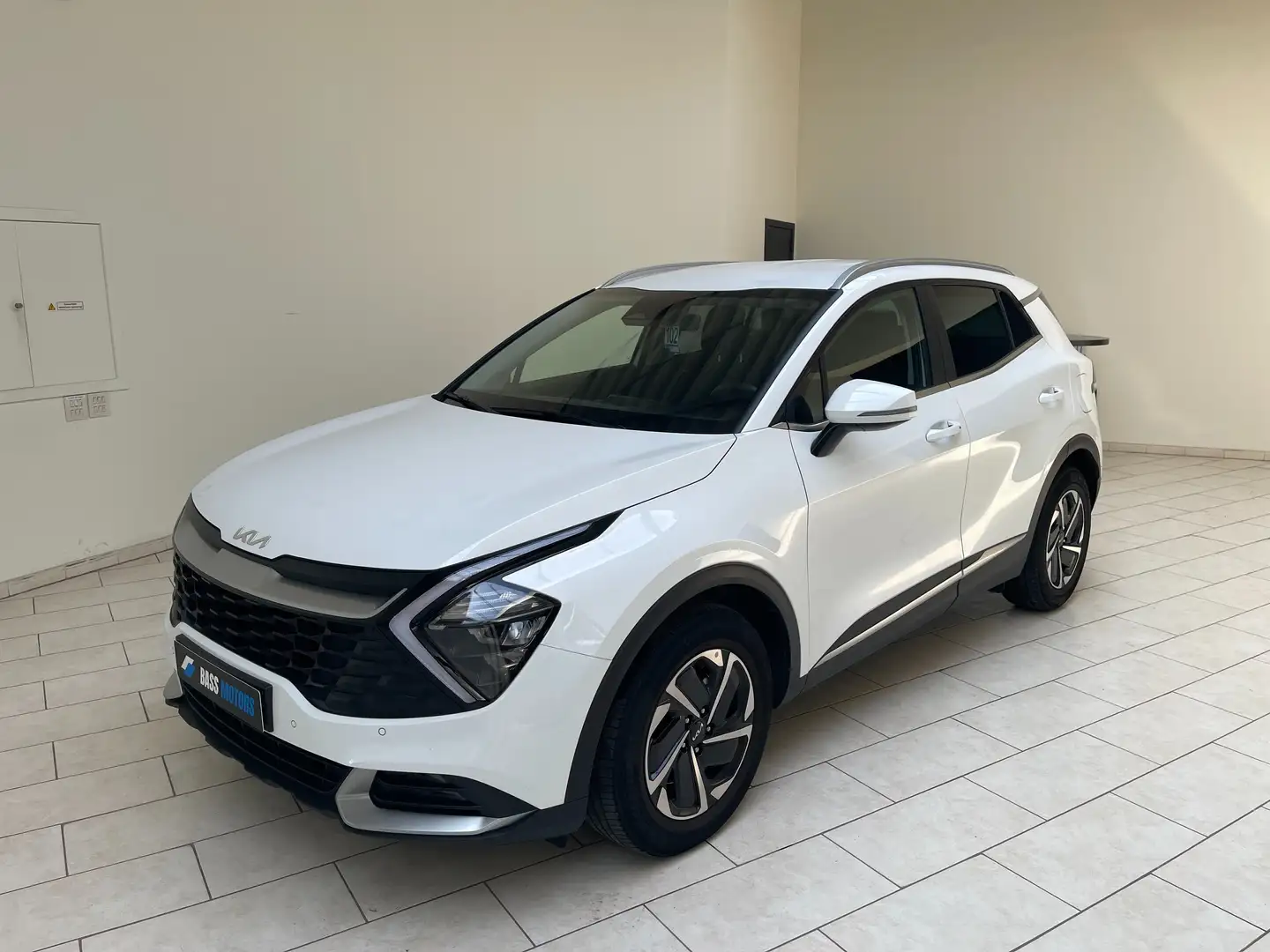 Kia Sportage Sportage 1.6 T-GDI 2WD Eco-Dynamics+ 48V M-H Белый - 1