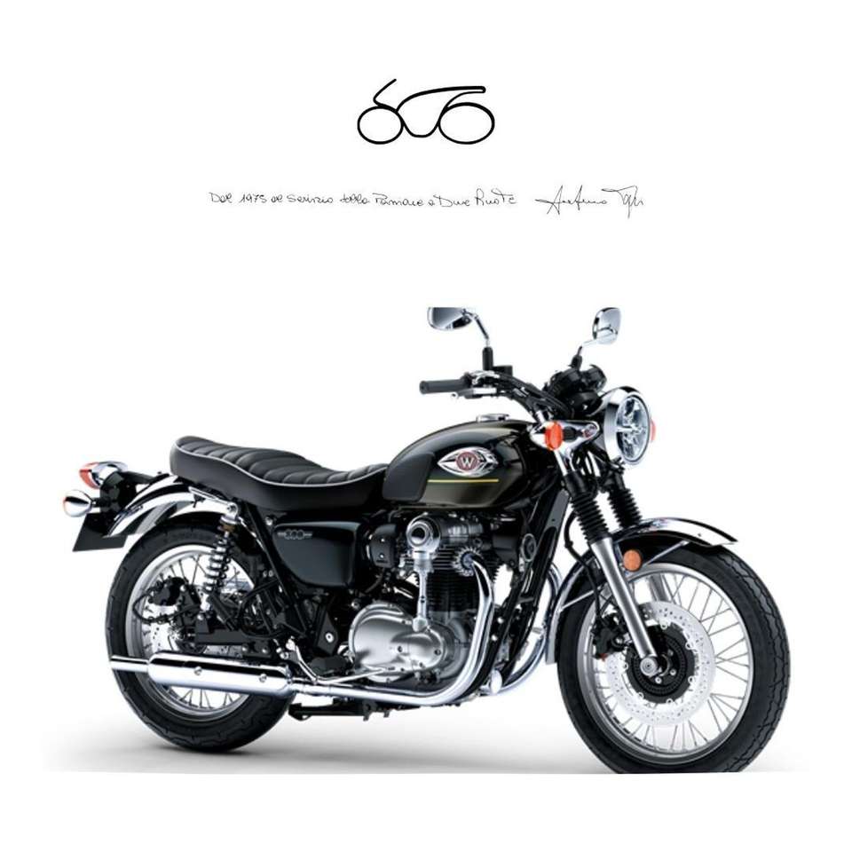 Kawasaki W 800 2025