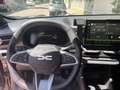 Dacia Duster Dacia Duster Journey Hybrid 155 (MY26) Grau - thumbnail 4
