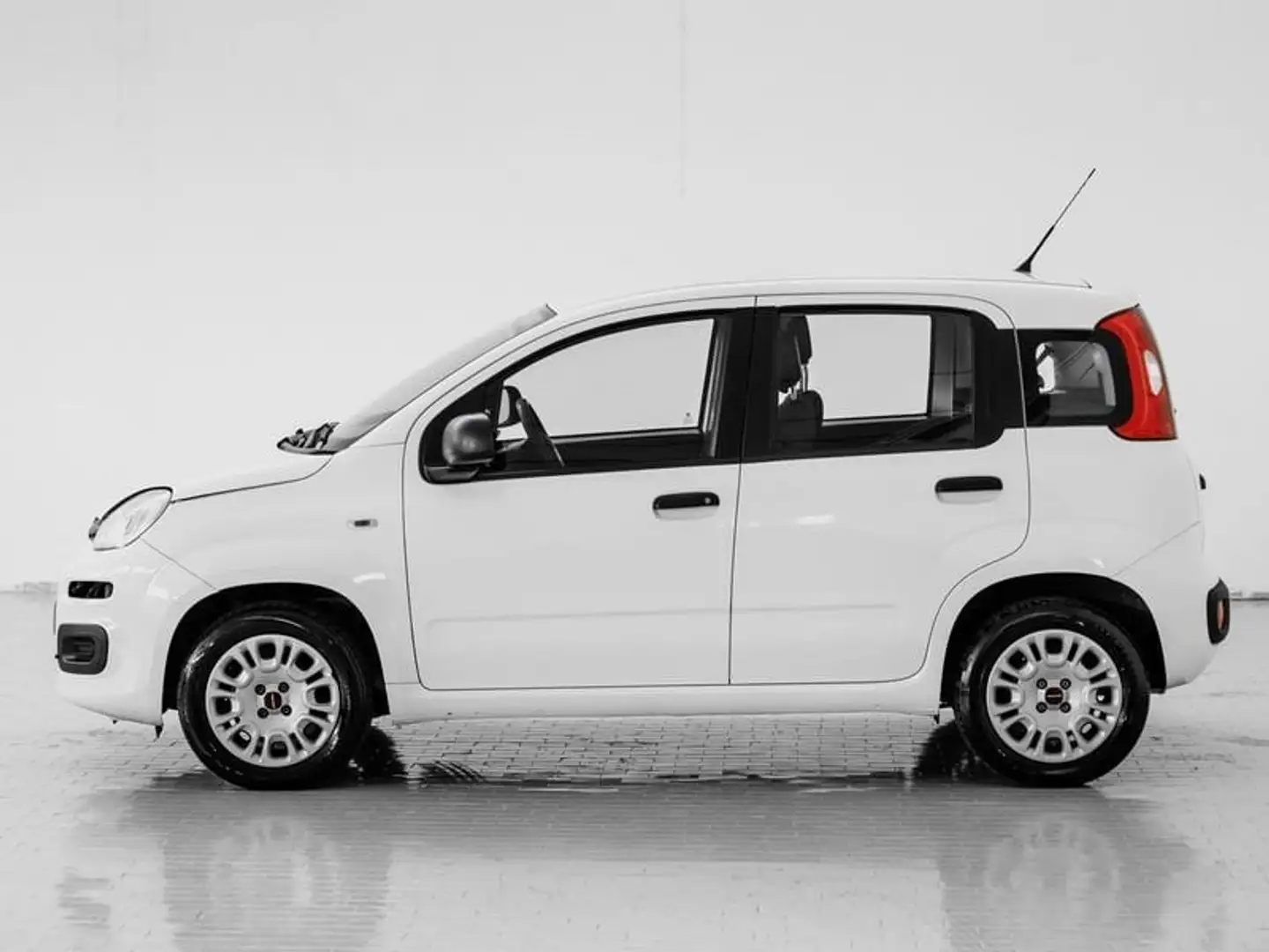 Fiat Panda 1.2 Easy White - 2