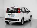 Fiat Panda 1.2 Easy Blanc - thumbnail 5