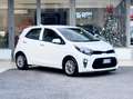 Kia Picanto 1.0 Benzina 67CV Automatica! E6 Neo - 2022 Blanc - thumbnail 1