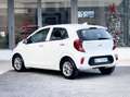 Kia Picanto 1.0 Benzina 67CV Automatica! E6 Neo - 2022 Blanc - thumbnail 4