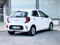 Kia Picanto 1.0 Benzina 67CV Automatica! E6 Neo - 2022 Blanc - thumbnail 5