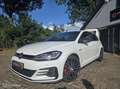 Volkswagen Golf GTI 2.0 TSI Performance|19"|AUT|Dealeronderh Alb - thumbnail 5