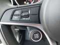 Alfa Romeo Giulia B-Tech 2,2 Diesel 160 RWD Grau - thumbnail 17