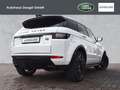 Land Rover Range Rover Evoque TD4 HSE Dynamic Black-Paket,Standheizung, Pano Weiß - thumbnail 2