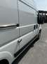 Peugeot Boxer LH2 - thumbnail 4