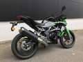 Kawasaki Z 125 Verde - thumbnail 2