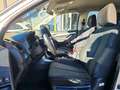 Isuzu D-Max D-Max 2.5 TDI 163CV CREW CAB LS SOLAR 4X4 Grigio - thumbnail 11