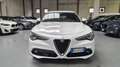 Alfa Romeo Stelvio Stelvio 2.2 t rwd 160cv CAMBIO AUT-DAB-CAR PLAY- - thumbnail 25