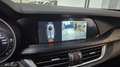 Alfa Romeo Stelvio Stelvio 2.2 t rwd 160cv CAMBIO AUT-DAB-CAR PLAY- - thumbnail 11