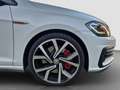 Volkswagen Golf GTI Perf. 2.0 245CV TSI DSG 5p. BMT GTI PERFORMANC Wit - thumbnail 21