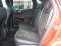Ford Kuga Plug-In Hybrid ST-Line X Rot - thumbnail 12