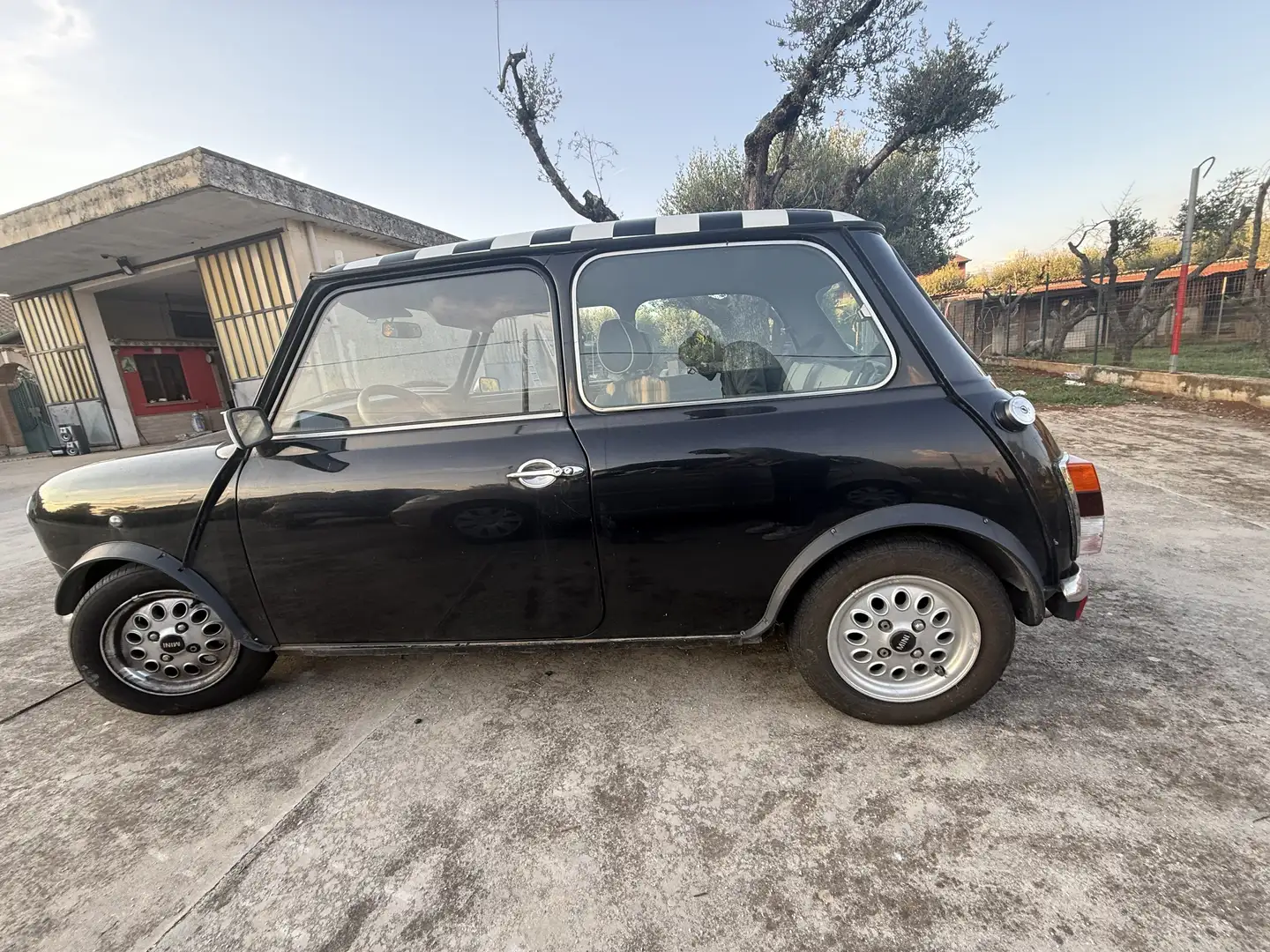 MINI 1000 - 1