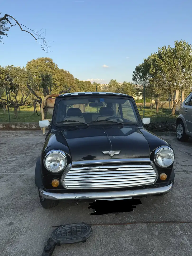 MINI 1000 - 2