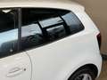 Volkswagen Polo 1.2 TSI DSG Highline | Navi | Clima | Cruise contr Bianco - thumbnail 15
