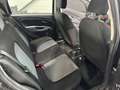 Fiat Punto 1.3 MULTIJET 16V 90CH CULT II 5P Noir - thumbnail 12