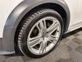 Audi A4 allroad 3.0 TDI*BiXENON*PANO-ST.HZ-ACC-B&O Weiß - thumbnail 7
