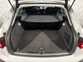 Audi A4 allroad 3.0 TDI*BiXENON*PANO-ST.HZ-ACC-B&O Weiß - thumbnail 5