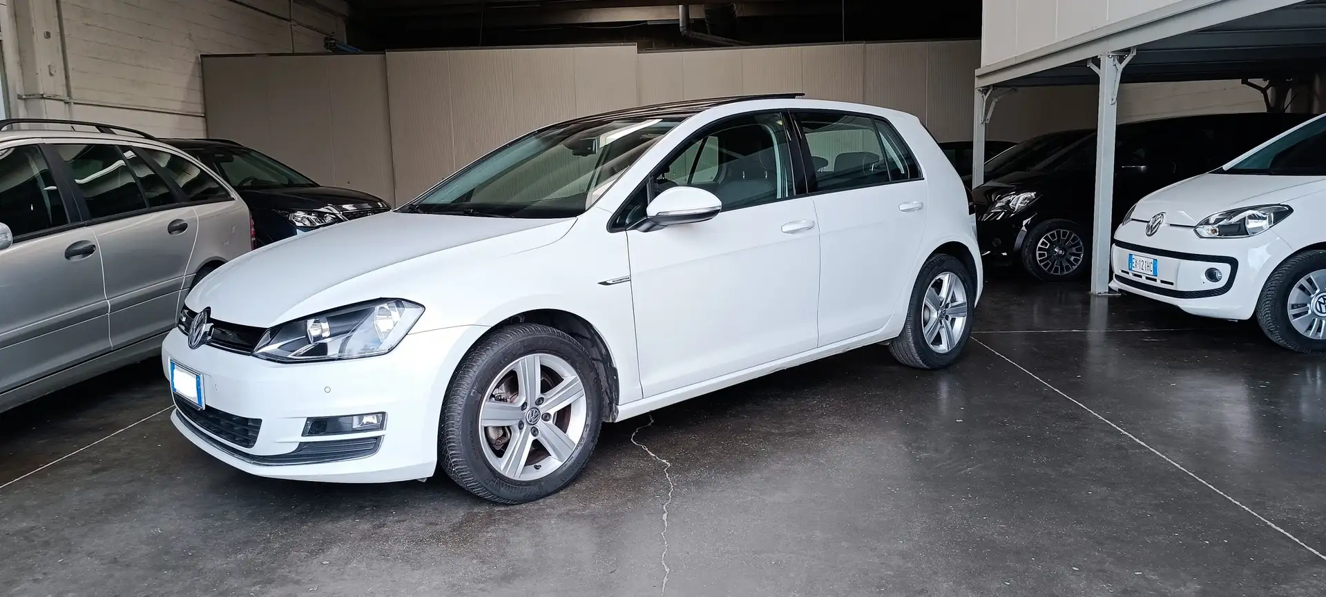 Volkswagen Golf 5p 1.4 tgi Highline Executive (Business) PERFETTA Bianco - 1