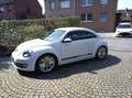 Volkswagen Beetle The Beetle 1.2 TSI iBeetle Design White - thumbnail 1