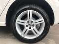 Volkswagen Polo Polo V 2009 5p 1.6 Comfortline bi-fuel 82cv Blanc - thumbnail 7
