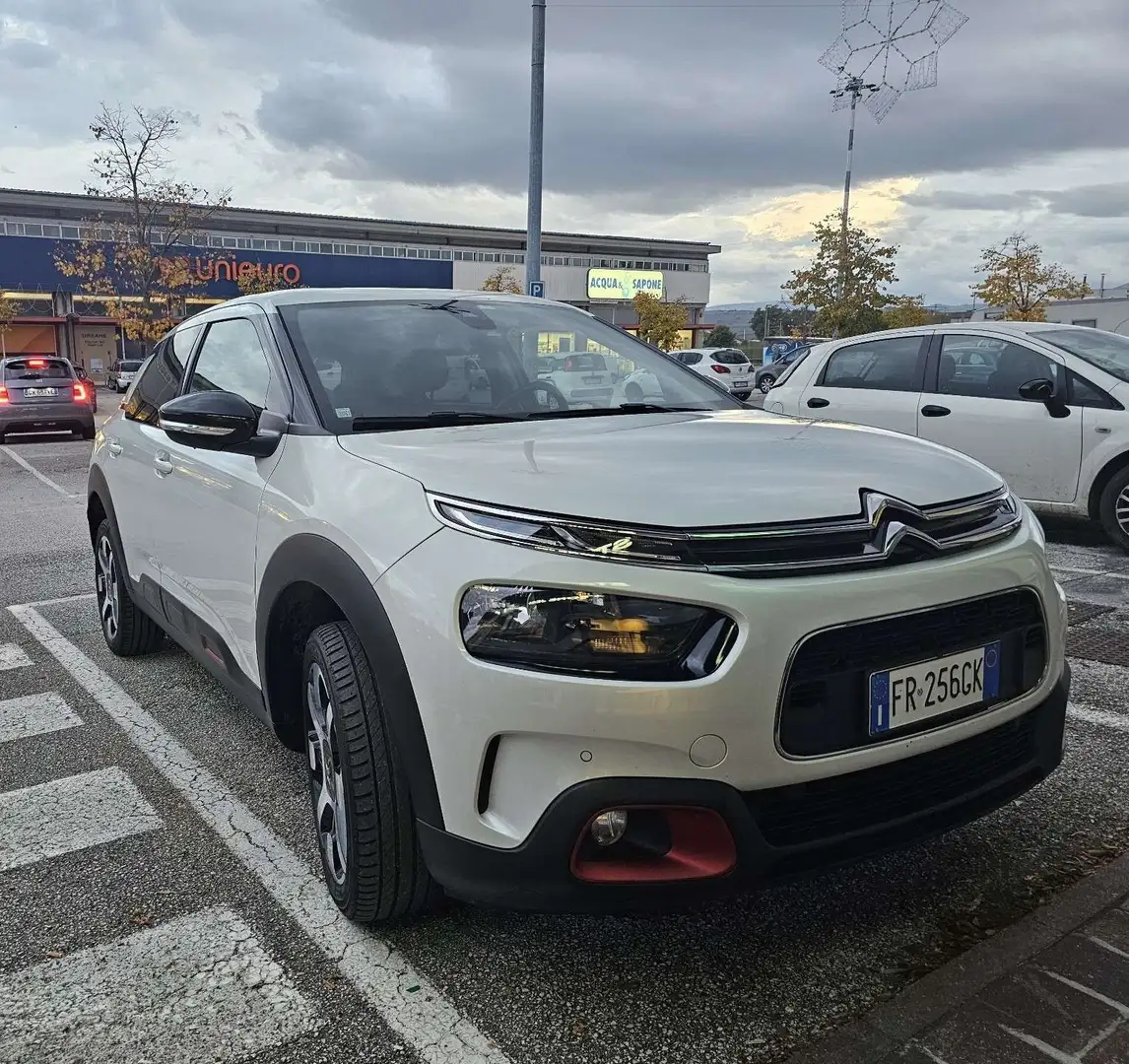 Citroen C4 Cactus 1.6 bluehdi Shine 100cv Beige - 1