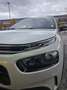 Citroen C4 Cactus 1.6 bluehdi Shine 100cv Beige - thumbnail 9