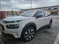 Citroen C4 Cactus 1.6 bluehdi Shine 100cv Beige - thumbnail 5